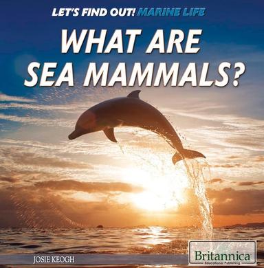 What Are Sea Mammals?