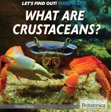 What Are Crustaceans?