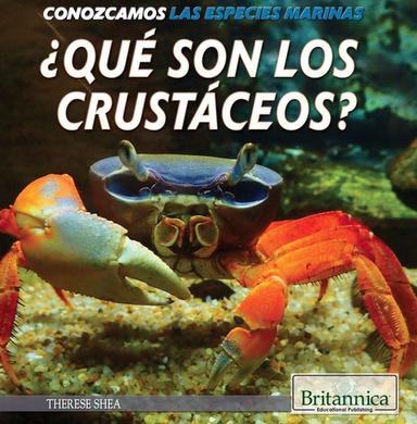 ¿Qué son los crustáceos? (What Are Crustaceans?)