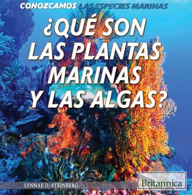 ¿Qué son las plantas marinas y las algas? (What Are Sea Plants and Algae?)
