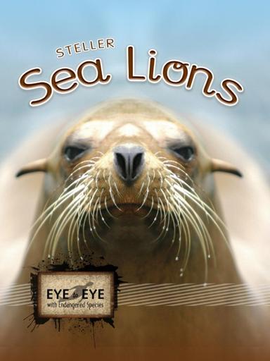 Stellar Sea Lions