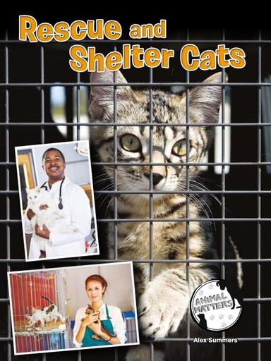 Rescue and Shelter Cats