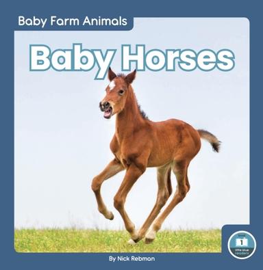 Baby Horses